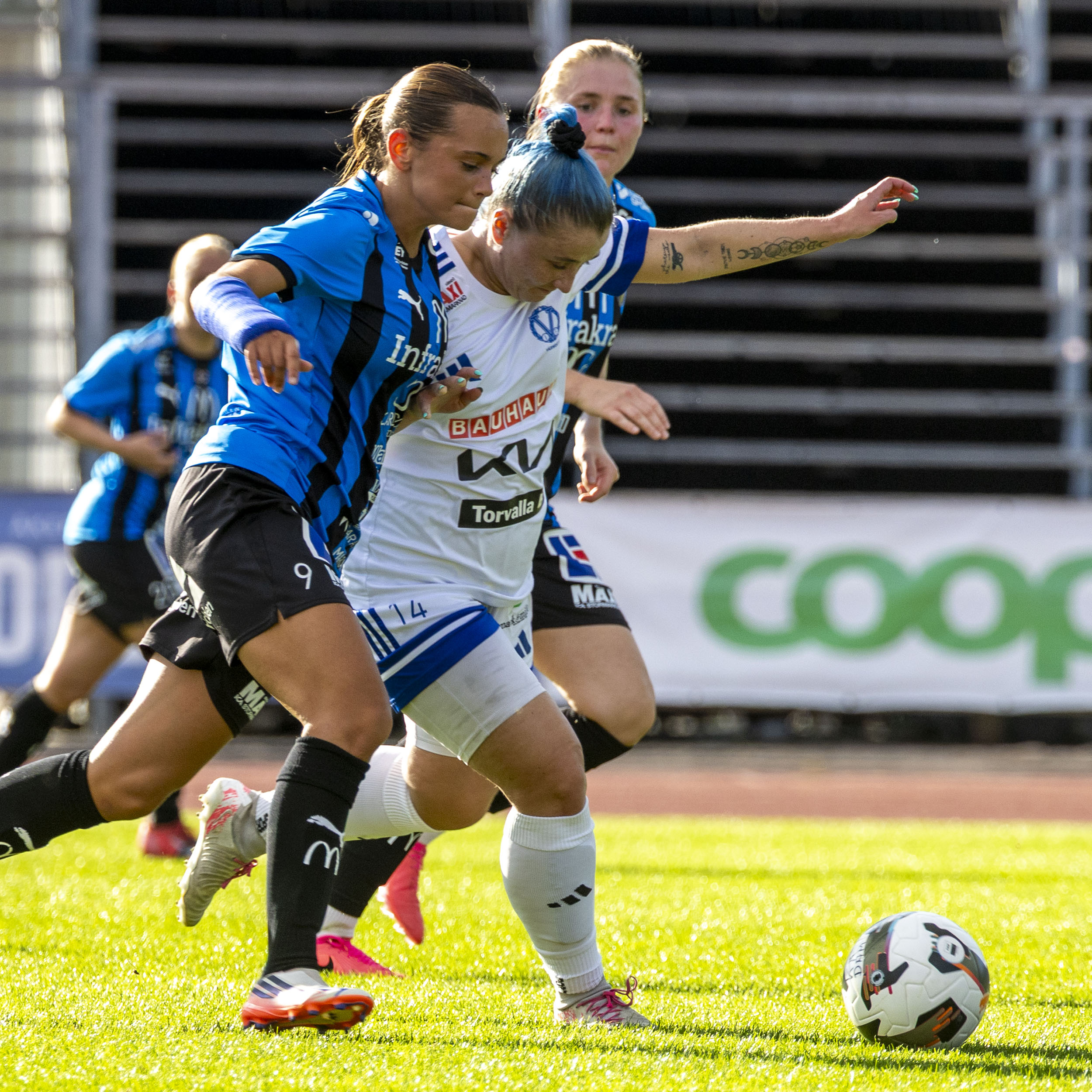 260913 KF D - V&auml;rmd&ouml; -16